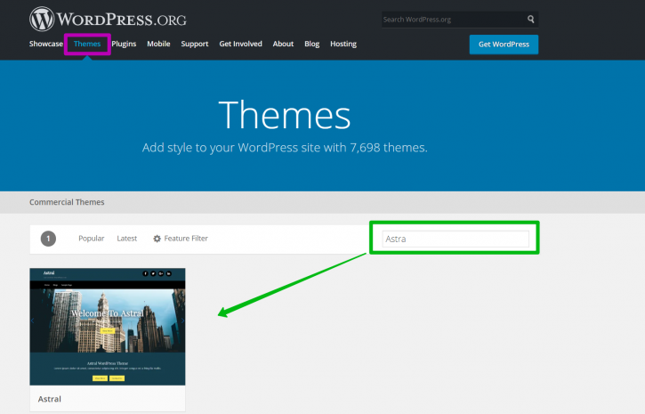 WordPress