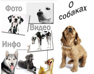 Красивое меню с животными