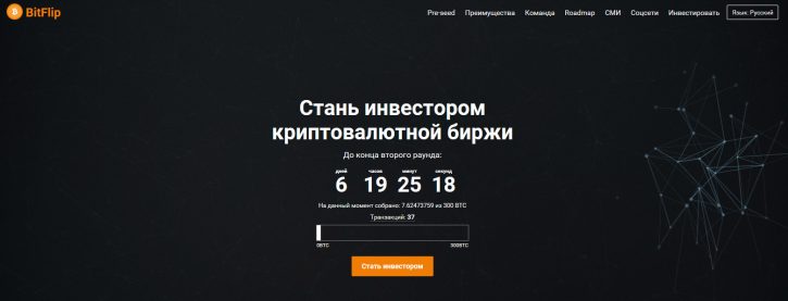 история BitFlip