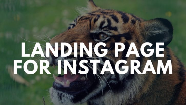 Как сделать лендинг в Instagram онлайн