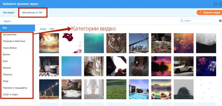Каталог видео-фонов на Wix