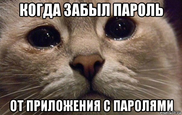 что делать, если забыл пароль
